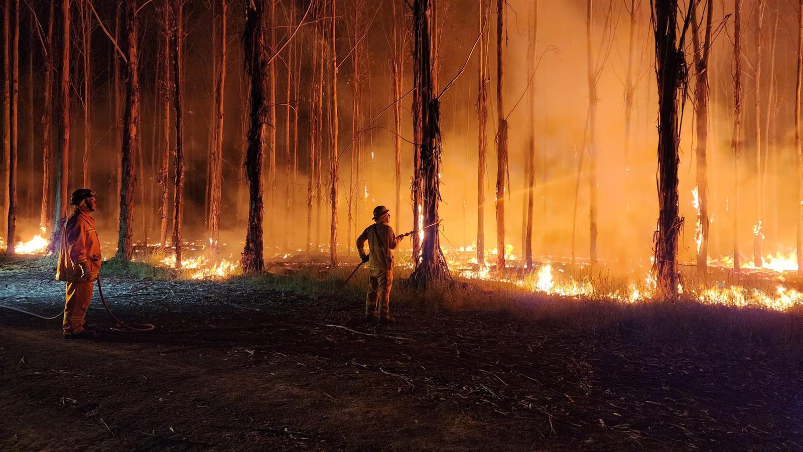 Image: Warrnambool Fire Brigade